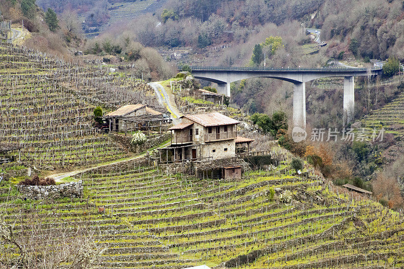 西班牙加利西亚的Ribeira sacra葡萄园路，地窖和高架桥。